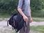Immagine 3