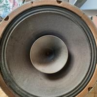 woofer 12 pollici