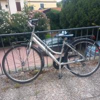 bici per adulto
