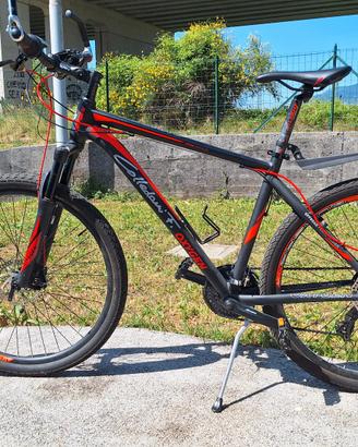 bici mtb Colledani