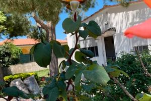 Villa a 400 m. mare, giardino, parcheggio, luglio