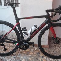 cipollini bond 2