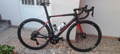 cipollini bond 2