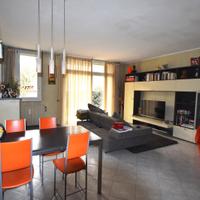 SEDIE CATTELAN ITALIA