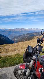 Benelli Leoncino 500 Trail