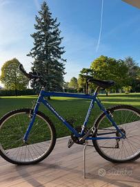 Mountain Bike MTB Torpado 26" blu