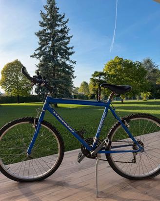 Mountain Bike MTB Torpado 26" blu