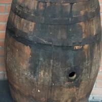 vecchie botti in rovere
