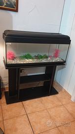 Acquario Pet Company + Mobiletto