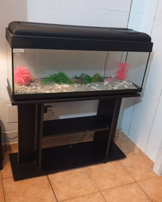 Acquario Pet Company + Mobiletto