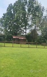 Casetta + terreno + rimessa/shop