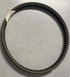 Cinghia Trasmissione Originale Aprilia