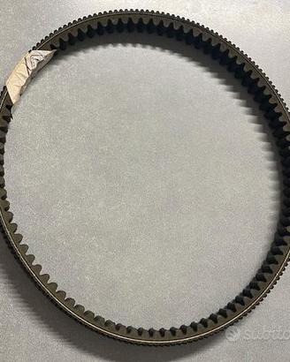 Cinghia Trasmissione Originale Aprilia
