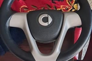 Sterzo smart 451 modello F 1