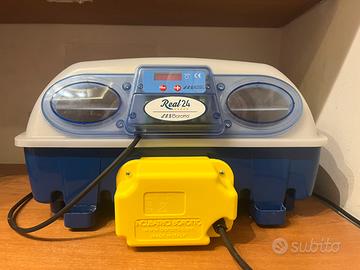 Incubatrice borotto real 24 automatica