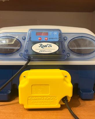 Incubatrice borotto real 24 automatica