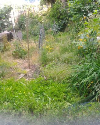 Terreno in Como