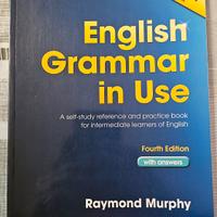 English Grammar in Use Raymond Murphy