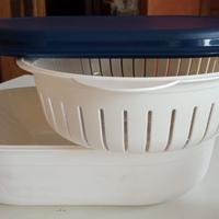 Legumiera Tupperware 