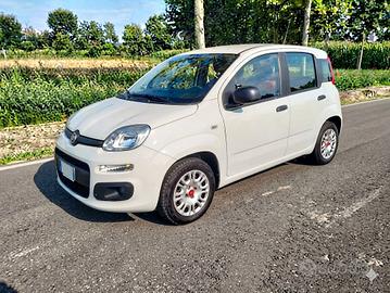FIAT PANDA GPL 1.2 69CV KM 35.000 NEOPAT 10.2020