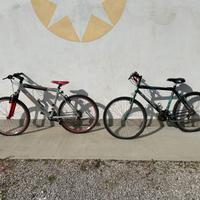 Biciclette bottecchia loris