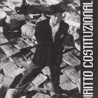 Bin Pitruzzella Diritto costituzionale Giappichell