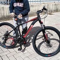 Mountain bike 
