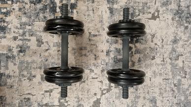 due manubri con pesi 8kg ciascuno