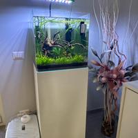 Acquario Amtra