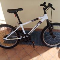 bicicletta