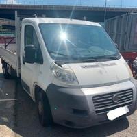Fiat ducato cassone fisso anno 2007