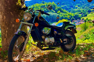 Aprilia Red rose 50cc 1994