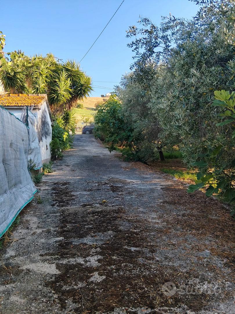 Terreno agricolo e rimessa - Vista 2