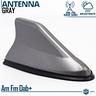 antenna-pinna-squalo-grigia-con-gomma-vera-ricezio