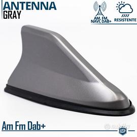 Antenna PINNA SQUALO Grigia con Gomma VERA Ricezio