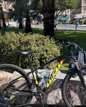 bici mbm