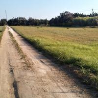 Terreno vicino Mare