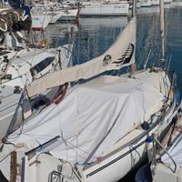 barca a vela 6 metri