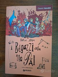 I ragazzi della Via pal