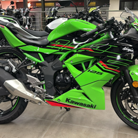 Kawasaki Ninja 125 ABS in pronta consegna