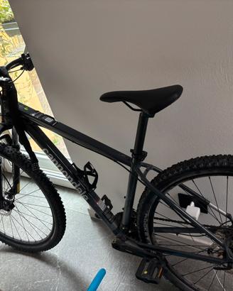 Bici Cannondale