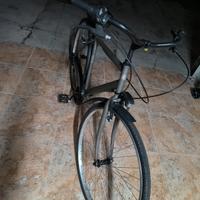 bici da uomo