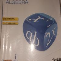 Libro Fai Matematica Plus Algebra e Geometria 3