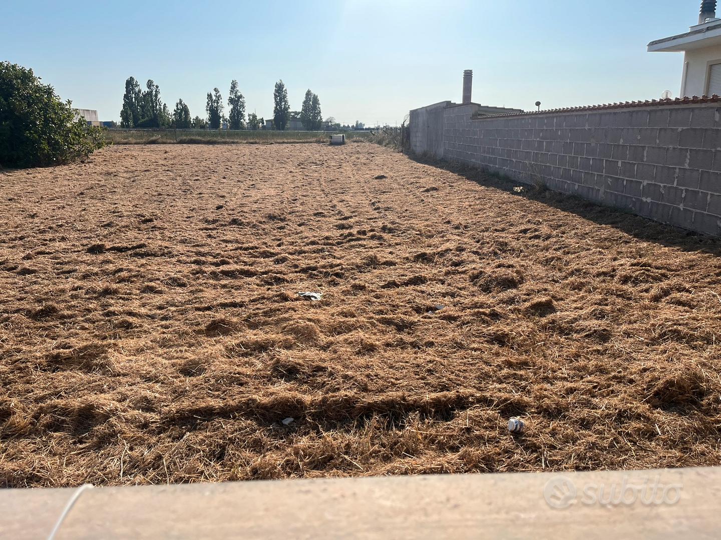 Terreno agricolo 2000mq - Vista 2