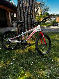 Bici bambina