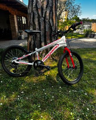 Bici bambina