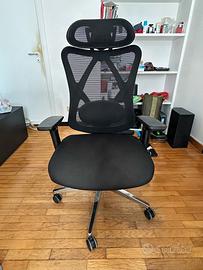 Sedia Ergonomica da Ufficio/Scrivania