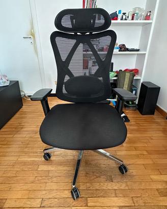 Sedia Ergonomica da Ufficio/Scrivania