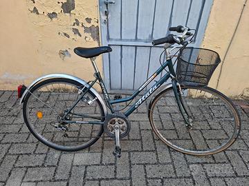 bicicletta con cambio 