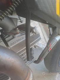 motore pit bike zs 212   4valvole